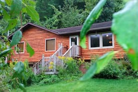 Lansing Cabin | White Pine W/Hot Tub Jacuzzi & Swimming Pond
