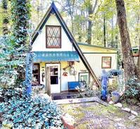 Helen Cabin | Hidden Hollow Cabin - Escape to Mtns! Clean/Safe!