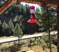 Quemado House | Jewett Gap Lodge