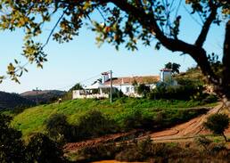 Barracao House | Quinta "Sitio do Zebro"