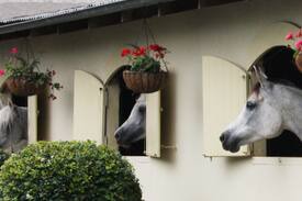 Wyong Creek House | Yarramalong Valley Horse Farm Stay House