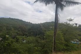 Montego Bay Cabin | Garden of Eden Jamaica room 2 (Near Montego Bay)