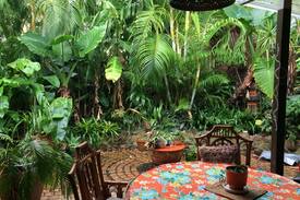 Coolum Beach House | Rainforest Retreat Near The Sea Room1