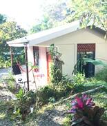 Cocles House | Cabinas Culantro Coyote