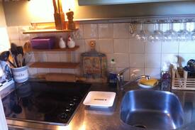 Nieuwer Ter Aa House | Beautiful cottage near Amsterdam