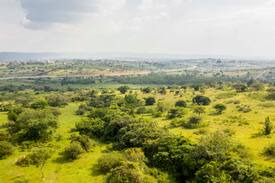 Mbarara Cabin | Hilltop Cottage in Nyarubanga Mbarara