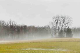 New Oxford House | Plum Run Acres: Rustic & Modern Escape on 42 Acres