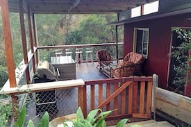 Dorrigo Cabin | Dorrigo Waterfall Cabins - Rosella Cabin