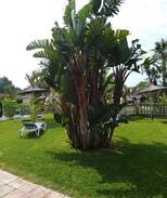 Zahora House | Apartamento El Romeral Bungalós