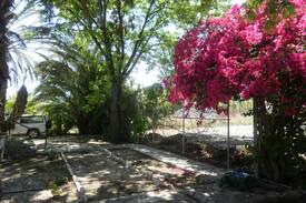 Prodromi Villa | Villa Anemone in Polis Chrysohous