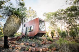 Chittering House | Joey the Tiny Cabin