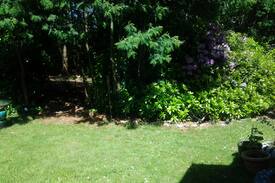 Crescent City House | Quiet Wooded Ranch Home (Red Room)