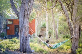 Chittering House | Joey the Tiny Cabin