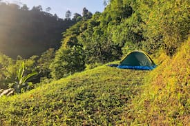 Janda Baik Other | Plateau Farm Campsite 1, Janda Baik