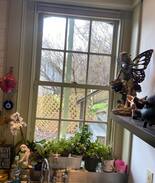 Piermont Apartment | Animal Lovers Only......
