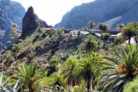 El Rincon House | chez l'habitant Rural B&B- La Tajinaste