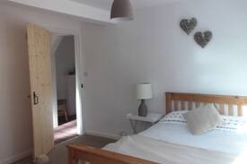 Williton House | Blanketts dog friendly character cottage