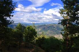 Pine Grove House | Gold Country Getaway*Perfect for Couples*View