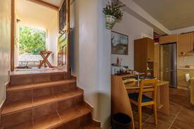 Diasella House | Orin's House
