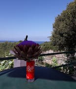 Antipaxos House | Kaloiri house