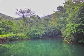 Paud Other | One earth retreat