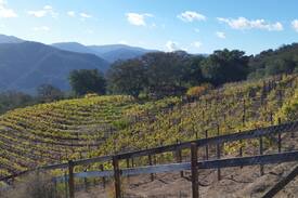 Carmel Valley House | Dakota Ranch Vineyard Urban Wilderness