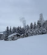 Mittelndorf Apartment | Ferienhaus Birkenhütte