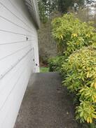 Clinton House | Private Entrance Apartment, DOG & Kid Friendly