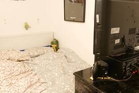 Wedding Apartment | Berlin-Wedding Apartment