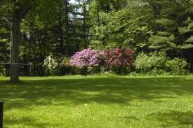 Watervliet House | Woods & Wildlife #1 Near I-94/Paw Paw Lake/Lake MI