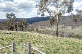 Wisemans Creek Cabin | Yellowbox Cabins- Two country cabins for 14 people