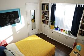 Roseway House | Private Room in Bright & Cozy Mid-Century Home