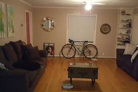 South Central Houston Apartment | Cozy 1 bedroom in Downtown Houston