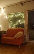 Wedding Apartment | Berlin-Wedding Apartment