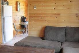 Mechanic Settlement Cabin | Mechanic Lake Cottage