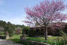 Les Assions House | Maison de hameau de village