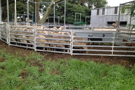 Thalgarrah Bed & Breakfast | Coningdale Farmstay Bed @ Breakfast