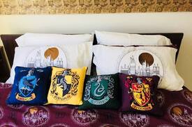 Squire Park House | Central Seattle: Sunny Harry Potter Private Room