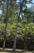 Itaugua Cabin | Hermosa quinta en Itagua, cerca de Asuncion!!