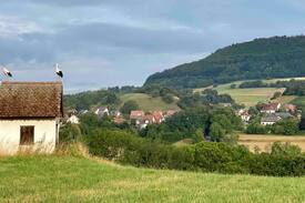 Wittnau Apartment | Landgut Stöckenhof, Urlaub stadtnah in der Natur