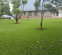 Kirinyaga House | Kijani House, Sagana