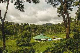 Srimangla Other | NEW YEAR 2020- VOTECAD NATURE CAMP !