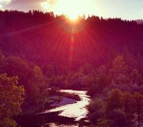 Douglas City Cabin | Beautiful Cabin on Trinity River!