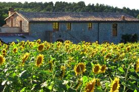Castel Giorgio House | Near Orvieto, convenient for Rome