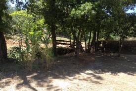 Meruge Other | Wooden cabin on David & Eli's farm