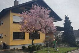 Werbach Apartment | Ferienwohnung Taubertal Inge in Werbach