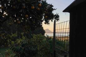 Matapihi Other | Rural Retreat with Mount Maunganui view