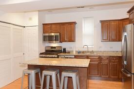Wrightwood Neighbors Apartment | Lincoln Park Luxury