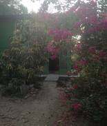 Cedros House | Green Casa 100m vom Strand