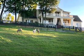 College Grove House | A&E Farm - Luxury Concierge - Franklin & Nashville